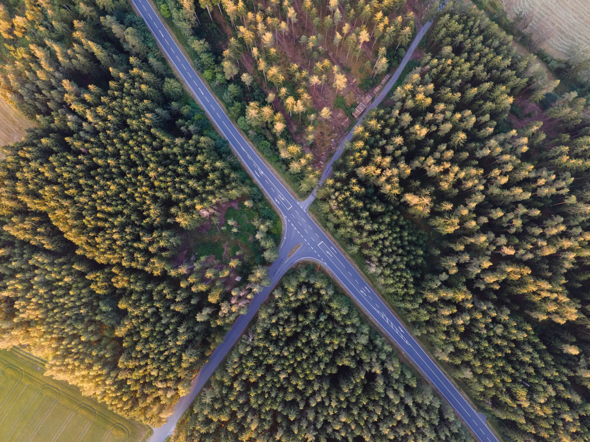 Aerial photo of forest intersection in Rehau, Germany at daylight.
